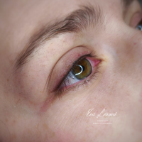 /album/permanentni-makeup/permanentni-makeup-lexova-vnorovy-png/